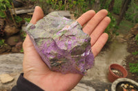 Natural Stichtite Cobbed Specimens x 6 From Barberton, South Africa - Toprock Gemstones and Minerals 