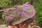 Natural Stichtite Cobbed Specimens x 6 From Barberton, South Africa - Toprock Gemstones and Minerals 