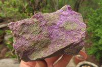 Natural Stichtite Cobbed Specimens x 6 From Barberton, South Africa - Toprock Gemstones and Minerals 