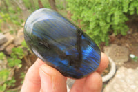 Polished Labradorite Palm Stones x 12 From Tulear, Madagascar - Toprock Gemstones and Minerals 