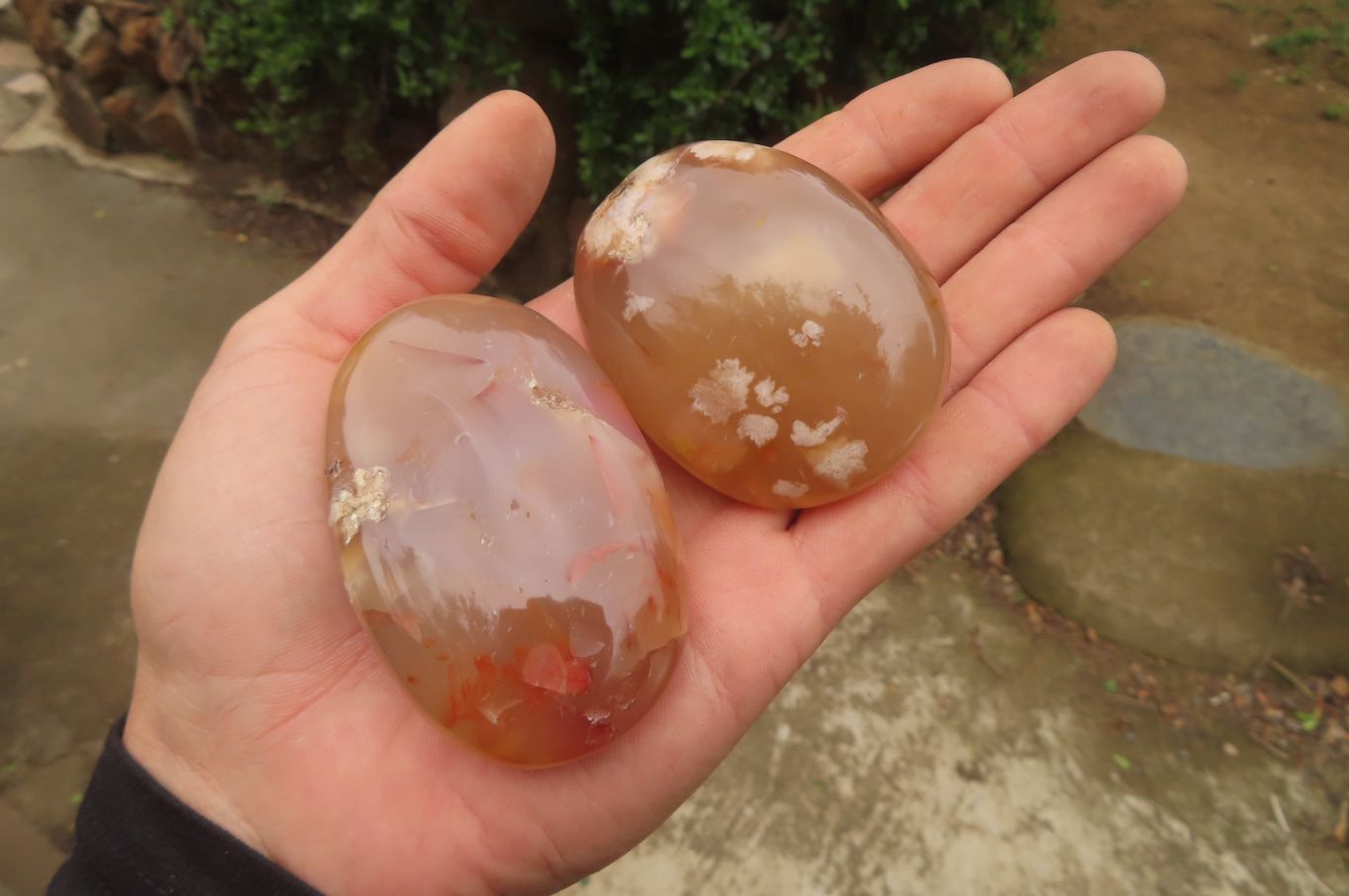 Polished Flower Agate Palm Stones x 12 From Madagascar - Toprock Gemstones and Minerals 