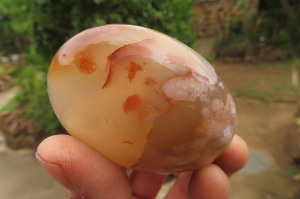 Polished Flower Agate Palm Stones x 12 From Madagascar - Toprock Gemstones and Minerals 