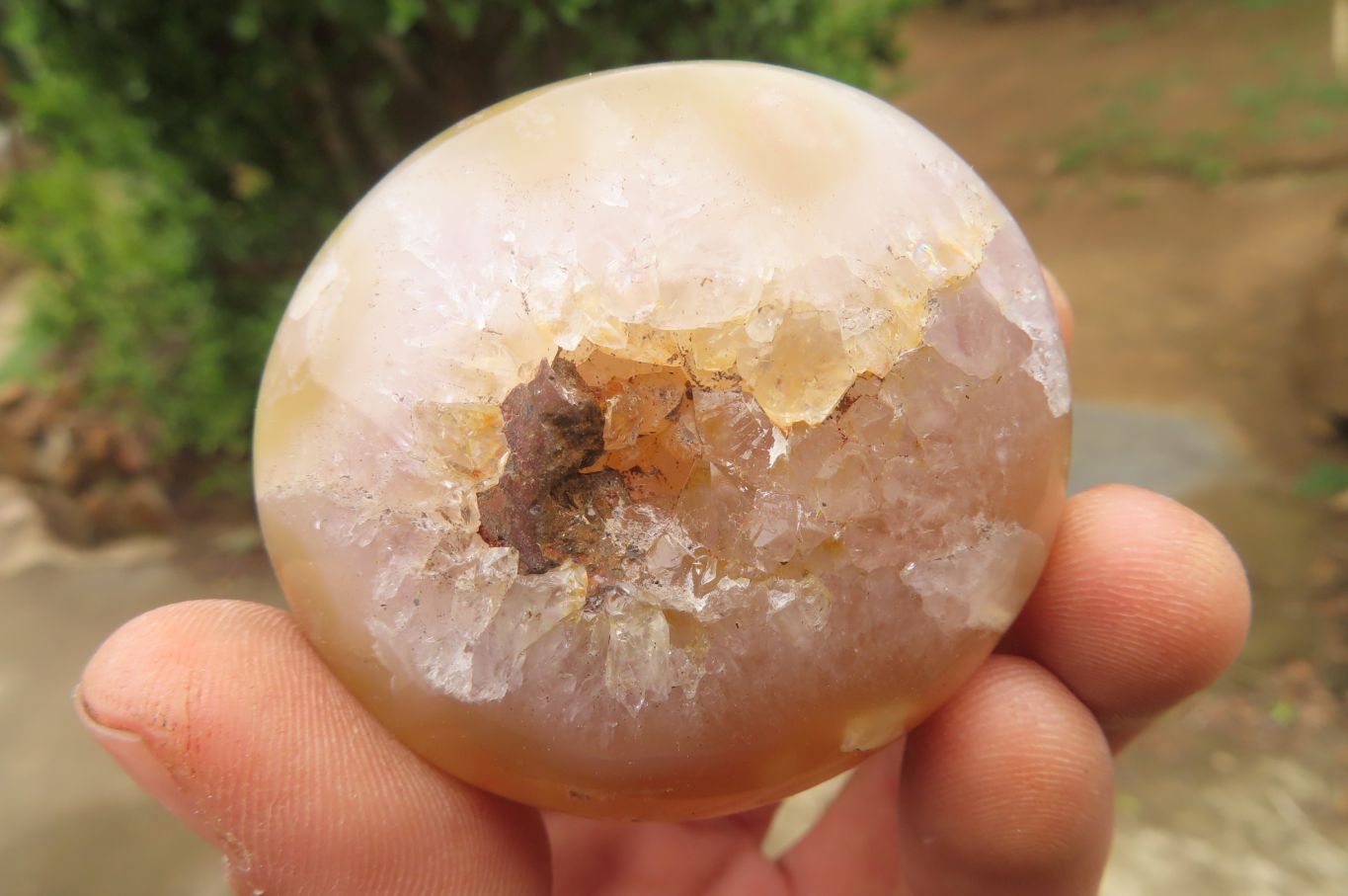 Polished Flower Agate Palm Stones x 12 From Madagascar - Toprock Gemstones and Minerals 