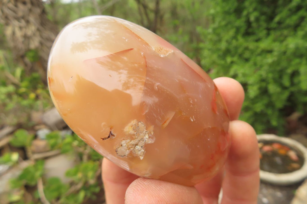 Polished Flower Agate Palm Stones x 12 From Madagascar - Toprock Gemstones and Minerals 