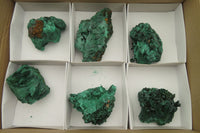 Natural Silky Malachite Specimens x 6 From Kasompe, Congo - Toprock Gemstones and Minerals 