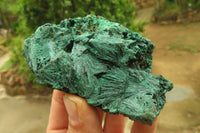 Natural Silky Malachite Specimens x 6 From Kasompe, Congo - Toprock Gemstones and Minerals 