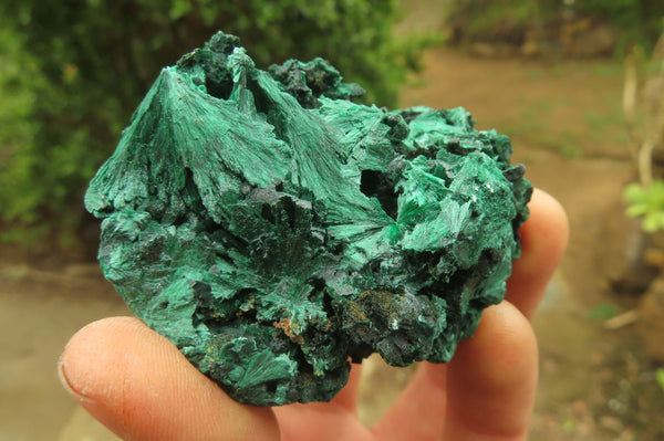 Natural Silky Malachite Specimens x 6 From Kasompe, Congo - Toprock Gemstones and Minerals 