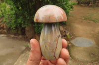 Polished Polychrome Jasper Mushroom Carvings x 6 From Madagascar - Toprock Gemstones and Minerals 