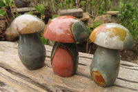 Polished Polychrome Jasper Mushroom Carvings x 6 From Madagascar - Toprock Gemstones and Minerals 