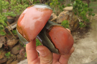 Polished Polychrome Jasper Mushroom Carvings x 6 From Madagascar - Toprock Gemstones and Minerals 