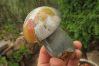 Polished Polychrome Jasper Mushroom Carvings x 6 From Madagascar - Toprock Gemstones and Minerals 