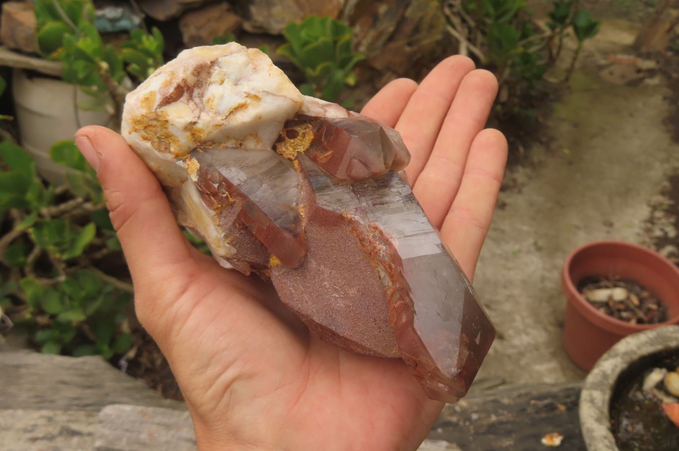 Natural Red Hematoid Quartz Clusters x 4 From Karoi, Zimbabwe - Toprock Gemstones and Minerals 