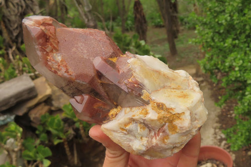 Natural Red Hematoid Quartz Clusters x 4 From Karoi, Zimbabwe - Toprock Gemstones and Minerals 