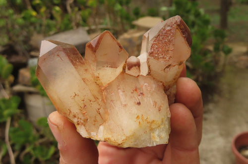 Natural Red Hematoid Quartz Clusters x 4 From Karoi, Zimbabwe - Toprock Gemstones and Minerals 