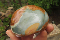 Polished On One Side Polychrome Jasper Nodules x 6 From Mahajanga, Madagascar - Toprock Gemstones and Minerals 