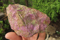 Natural Stichtite Cobbed Specimens x 4 From Barberton, South Africa - Toprock Gemstones and Minerals 
