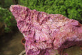 Natural Stichtite Cobbed Specimens x 4 From Barberton, South Africa - Toprock Gemstones and Minerals 