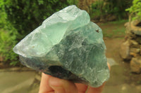 Natural Watermelon Fluorite Cobbed Specimens x 6 From Uis, Namibia - Toprock Gemstones and Minerals 