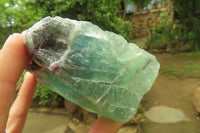 Natural Watermelon Fluorite Cobbed Specimens x 6 From Uis, Namibia - Toprock Gemstones and Minerals 