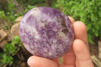 Polished Lepidolite with Pink Rubellite Palm Stones x 10 From Ambatondrazaka, Madagascar - Toprock Gemstones and Minerals 