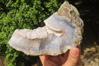 Natural Blue Lace Agate Geode Specimens x 4 From Malawi - Toprock Gemstones and Minerals 