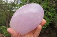 Polished Blue Rose Quartz Standing Free Forms x 2 From Madagascar - Toprock Gemstones and Minerals 