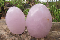 Polished Blue Rose Quartz Standing Free Forms x 2 From Madagascar - Toprock Gemstones and Minerals 