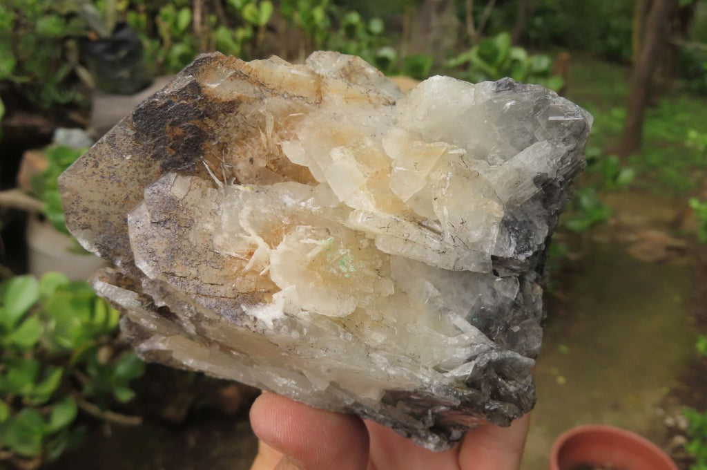Natural Bladed Barite Specimens x 2 From Congo - Toprock Gemstones and Minerals 