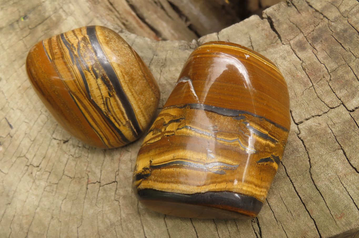 Polished Tiger's Eye Free Forms x 6 From Prieska, South Africa - Toprock Gemstones and Minerals 