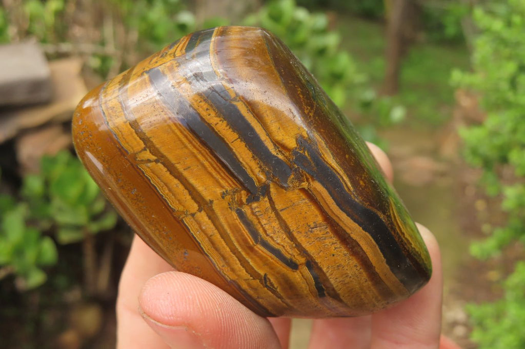 Polished Tiger's Eye Free Forms x 6 From Prieska, South Africa - Toprock Gemstones and Minerals 