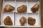 Polished Tiger's Eye Free Forms x 6 From Prieska, South Africa - Toprock Gemstones and Minerals 