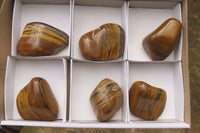 Polished Tiger's Eye Free Forms x 6 From Prieska, South Africa
