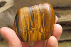 Polished Tiger's Eye Free Forms x 6 From Prieska, South Africa - Toprock Gemstones and Minerals 