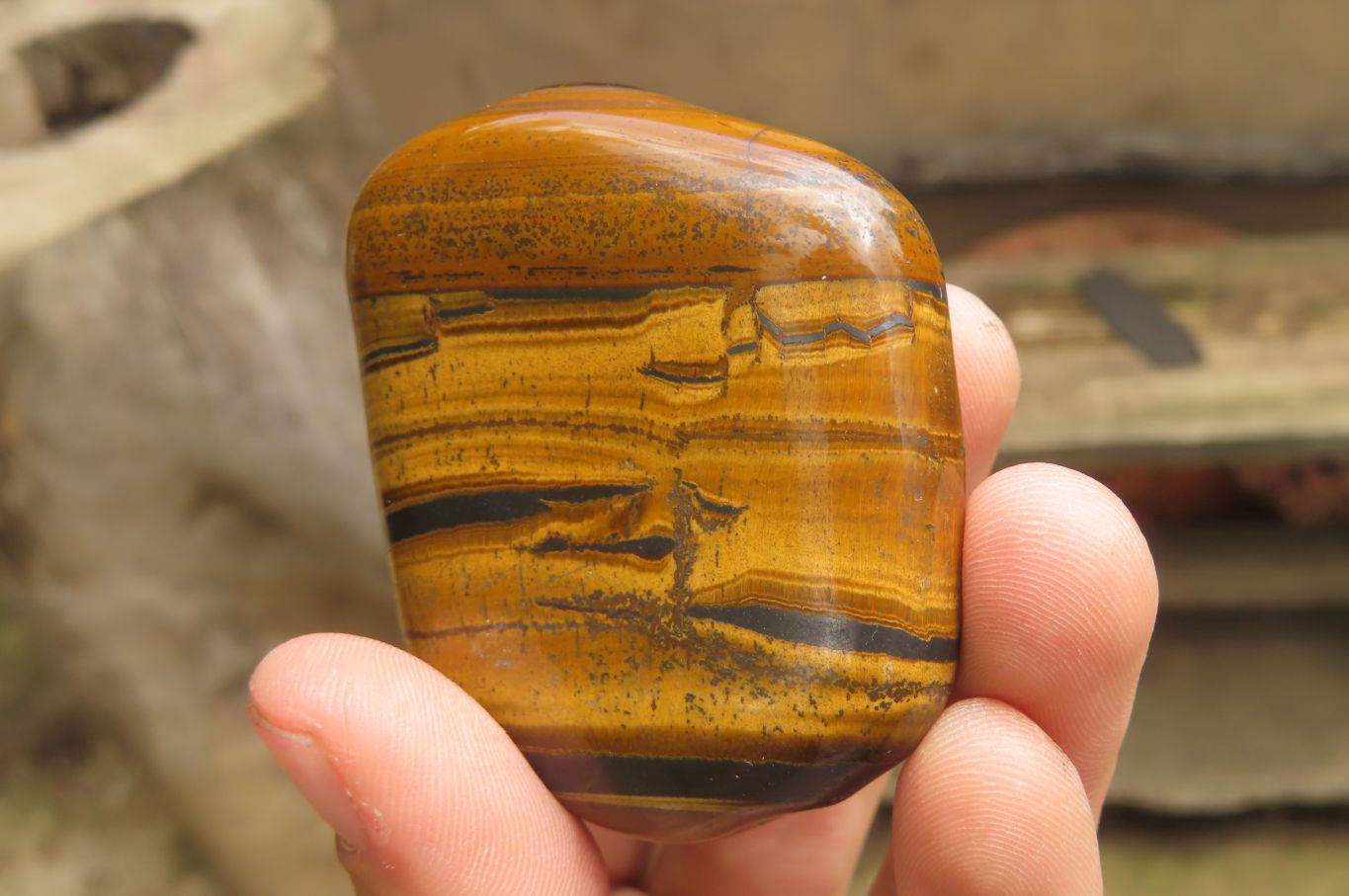 Polished Tiger's Eye Free Forms x 6 From Prieska, South Africa - Toprock Gemstones and Minerals 