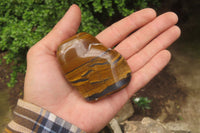 Polished Tiger's Eye Free Forms x 6 From Prieska, South Africa