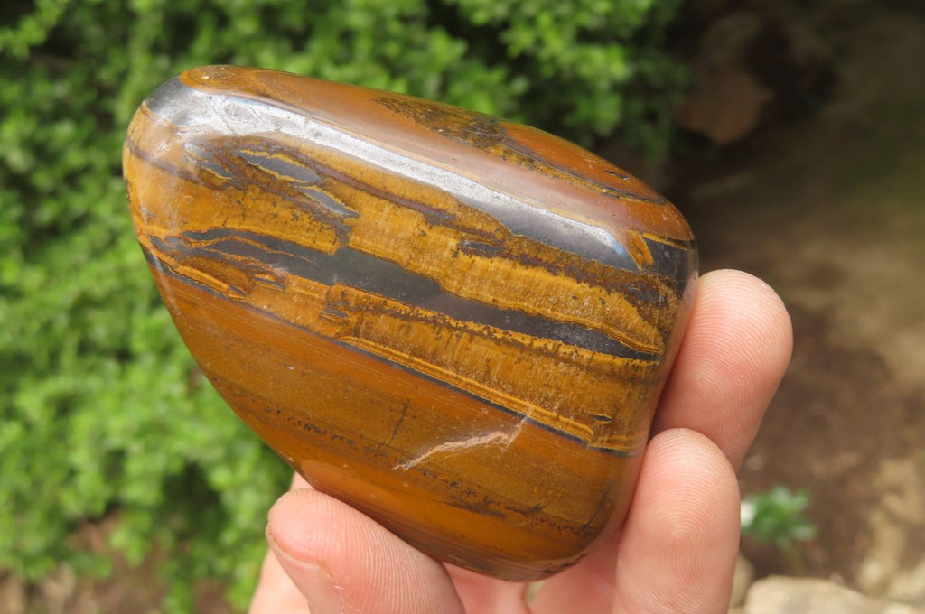 Polished Tiger's Eye Free Forms x 6 From Prieska, South Africa - Toprock Gemstones and Minerals 