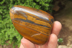Polished Tiger's Eye Free Forms x 6 From Prieska, South Africa - Toprock Gemstones and Minerals 