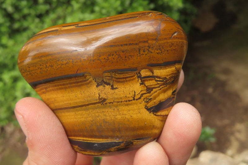 Polished Tiger's Eye Free Forms x 6 From Prieska, South Africa - Toprock Gemstones and Minerals 