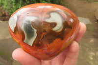 Polished On One Side Polychrome Jasper Nodules x 6 From Mahajanga, Madagascar - Toprock Gemstones and Minerals 
