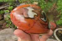 Polished On One Side Polychrome Jasper Nodules x 6 From Mahajanga, Madagascar - Toprock Gemstones and Minerals 