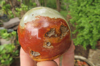 Polished On One Side Polychrome Jasper Nodules x 6 From Mahajanga, Madagascar - Toprock Gemstones and Minerals 
