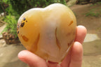 Polished Banded Agate Gemstone Hearts x 6 From Madagascar - Toprock Gemstones and Minerals 