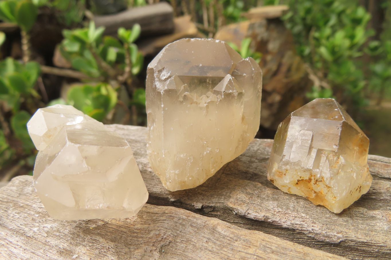 Natural Smokey Quartz Crystals x 35 From Zimbabwe - Toprock Gemstones and Minerals 