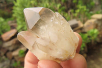 Natural Smokey Quartz Crystals x 35 From Zimbabwe - Toprock Gemstones and Minerals 