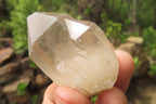 Natural Smokey Quartz Crystals x 35 From Zimbabwe - Toprock Gemstones and Minerals 