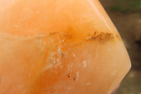 Polished Orange Twist Calcite Standing Free Forms x 2 From Madagascar - Toprock Gemstones and Minerals 