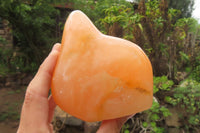 Polished Orange Twist Calcite Standing Free Forms x 2 From Madagascar - Toprock Gemstones and Minerals 