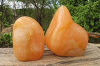 Polished Orange Twist Calcite Standing Free Forms x 2 From Madagascar - Toprock Gemstones and Minerals 