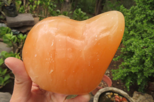 Polished Orange Twist Calcite Standing Free Forms x 2 From Madagascar - Toprock Gemstones and Minerals 