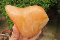 Polished Orange Twist Calcite Standing Free Forms x 2 From Madagascar - Toprock Gemstones and Minerals 